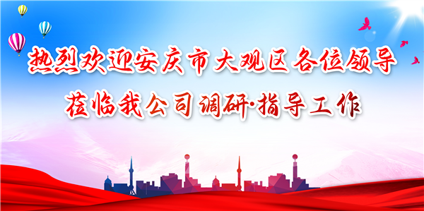 安慶市大觀區(qū)領(lǐng)導(dǎo)蒞臨我公司調(diào)研工作，為發(fā)展注入新動力